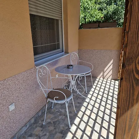 Marjanovic Daire Pacir