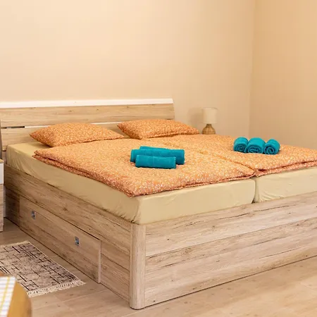 Marjanovic Daire Pacir